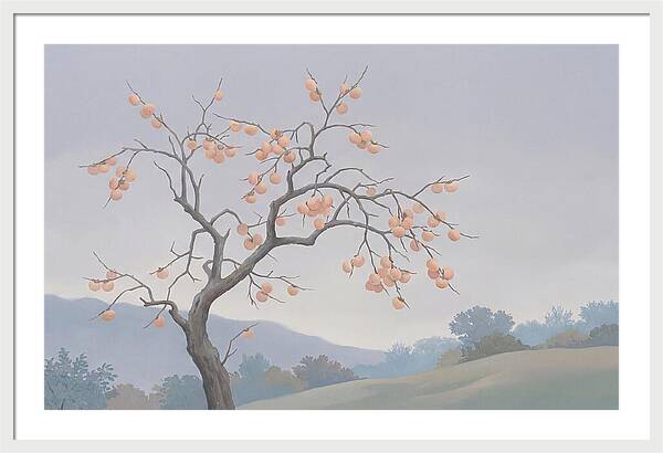Persimmon Tree In Autumn Light