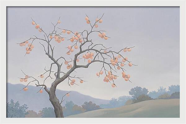 Persimmon Tree In Autumn Light