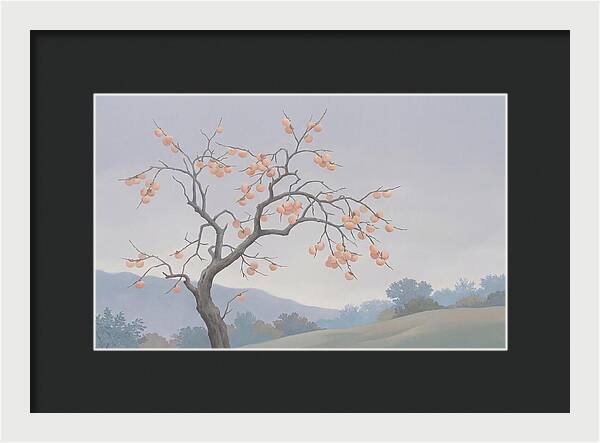 Persimmon Tree In Autumn Light