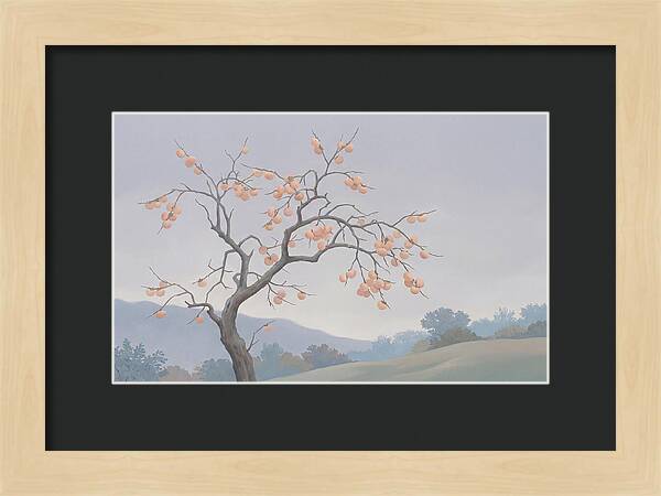 Persimmon Tree In Autumn Light