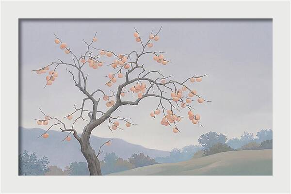 Persimmon Tree In Autumn Light