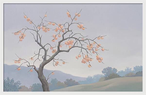 Persimmon Tree In Autumn Light