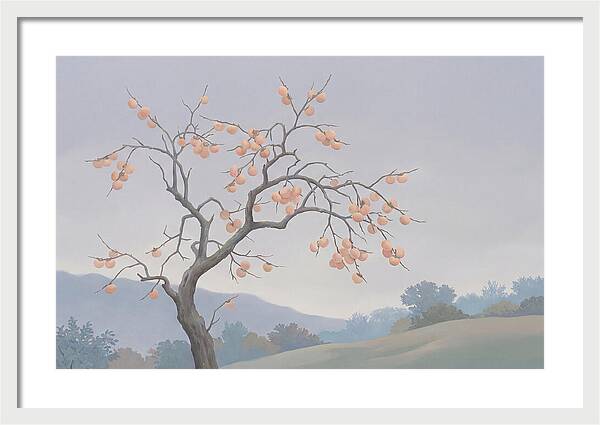 Persimmon Tree In Autumn Light
