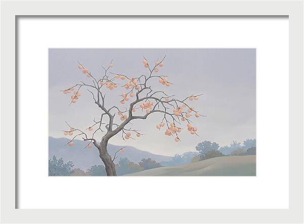 Persimmon Tree In Autumn Light