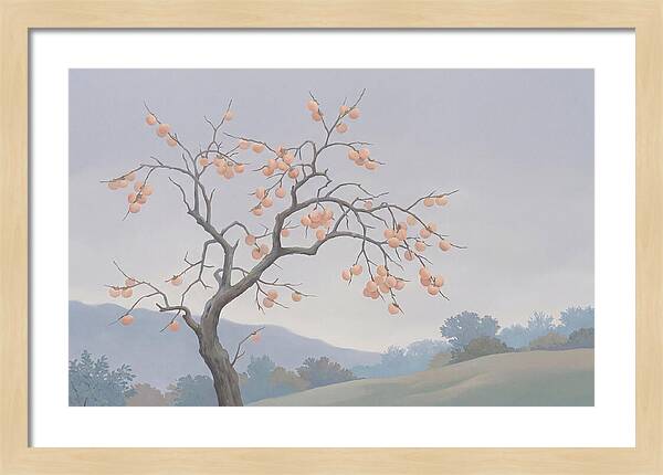 Persimmon Tree In Autumn Light