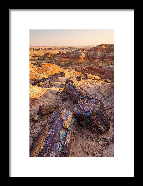 Petrified Forest Serenity