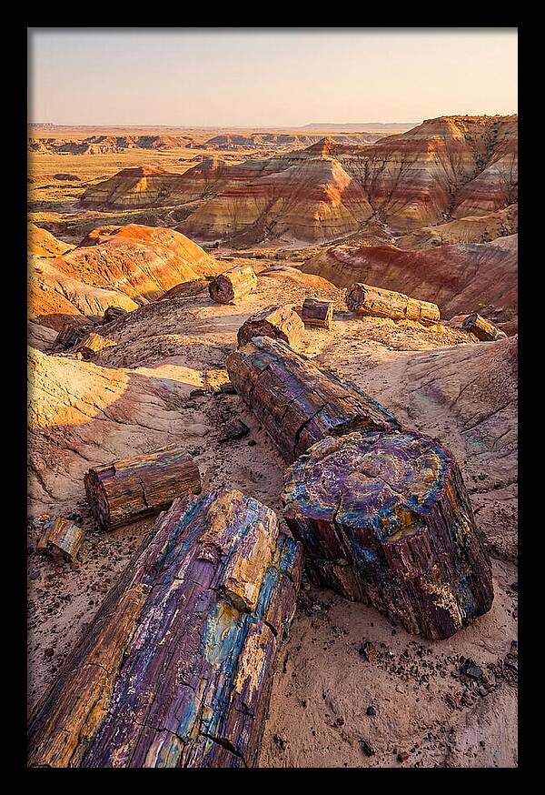 Petrified Forest Serenity