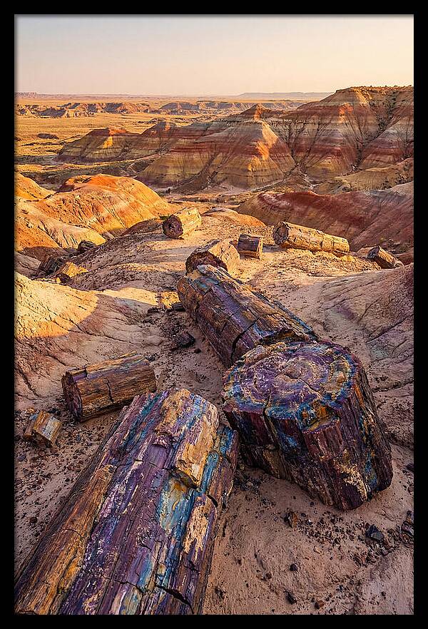 Petrified Forest Serenity