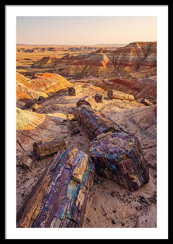 Petrified Forest Serenity