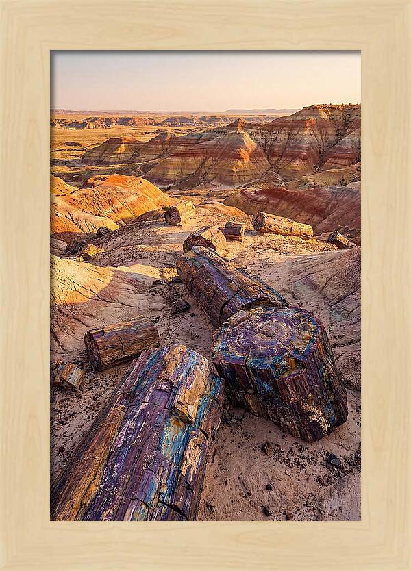 Petrified Forest Serenity