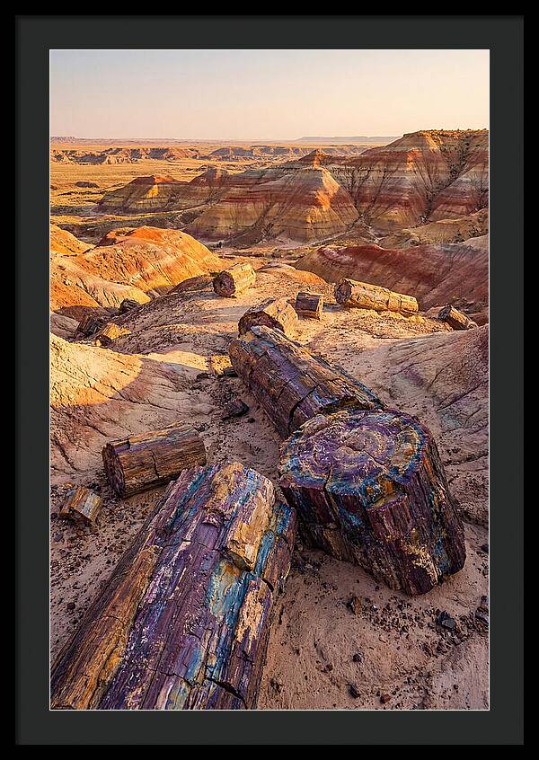 Petrified Forest Serenity