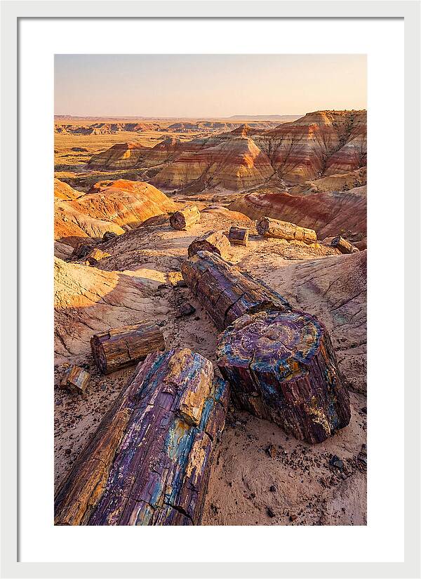Petrified Forest Serenity