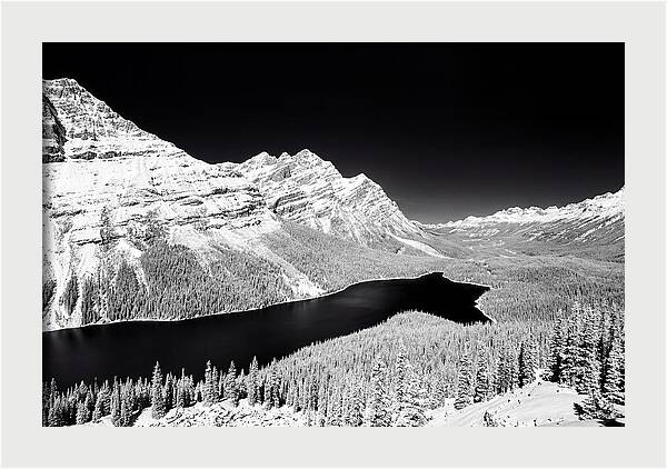Peyto Lake From Bow Summit