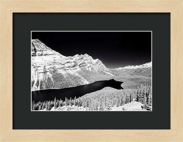 Peyto Lake From Bow Summit
