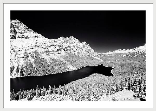 Peyto Lake From Bow Summit