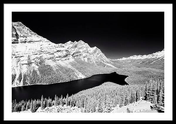 Peyto Lake From Bow Summit