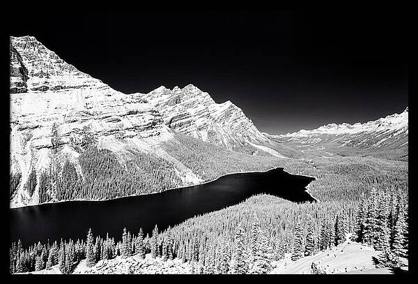 Peyto Lake From Bow Summit