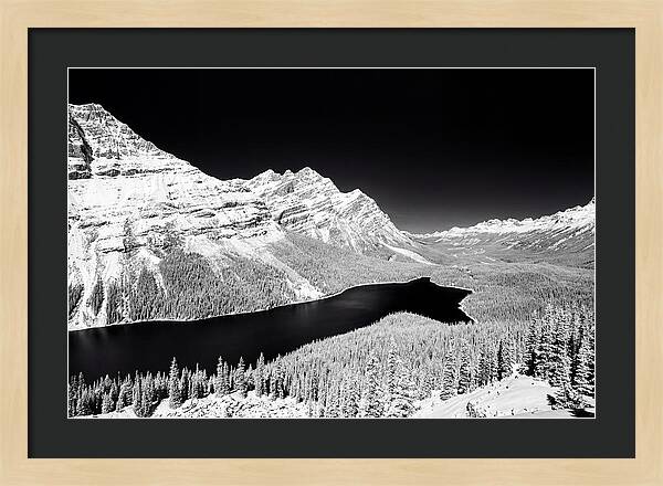 Peyto Lake From Bow Summit
