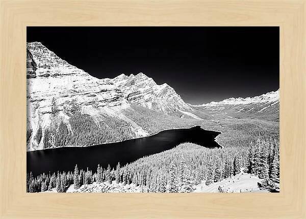 Peyto Lake From Bow Summit