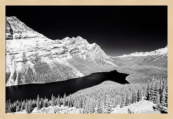 Peyto Lake From Bow Summit
