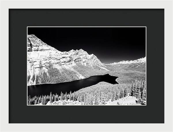 Peyto Lake From Bow Summit