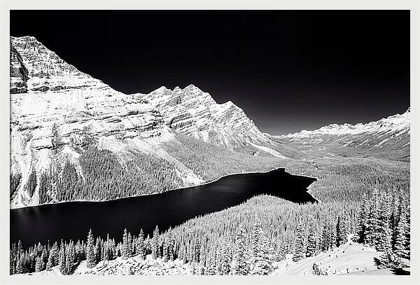 Peyto Lake From Bow Summit