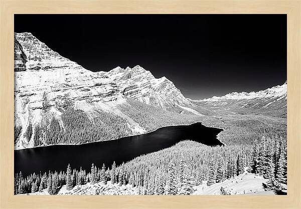 Peyto Lake From Bow Summit