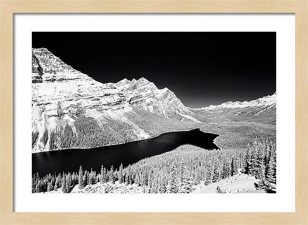 Peyto Lake From Bow Summit