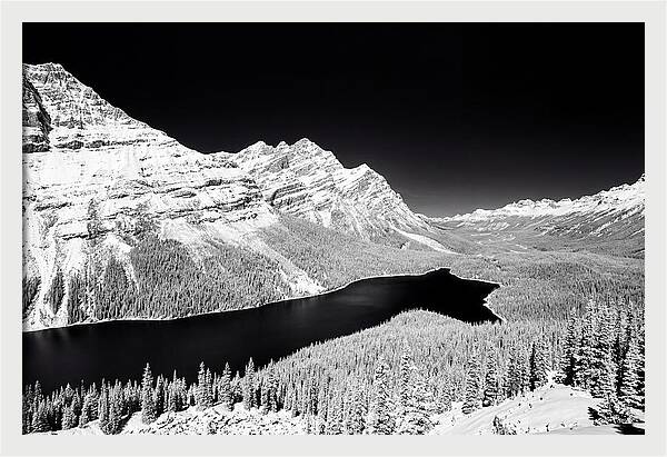 Peyto Lake From Bow Summit