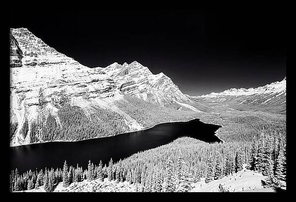 Peyto Lake From Bow Summit