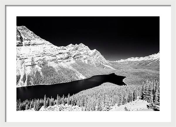 Peyto Lake From Bow Summit