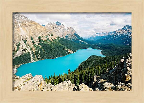Peyto Lake Overlook