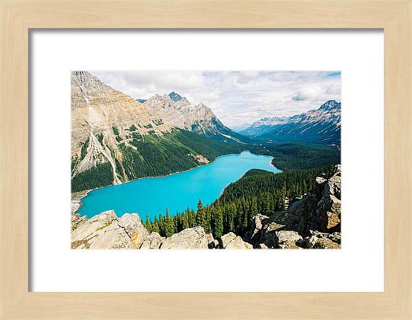 Peyto Lake Overlook