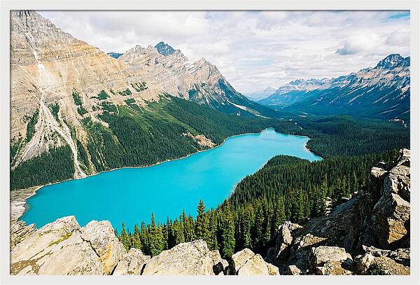 Peyto Lake Overlook