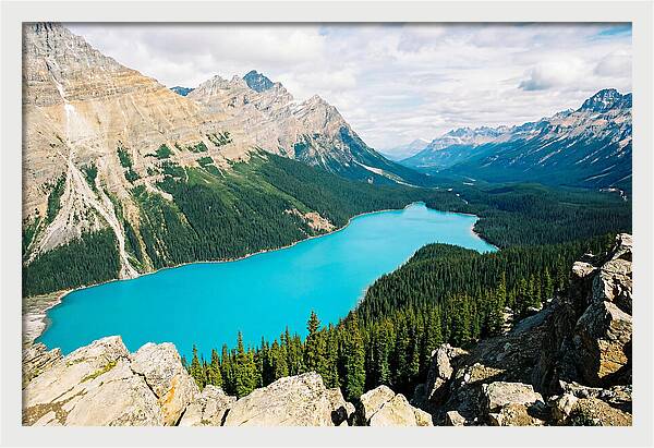 Peyto Lake Overlook