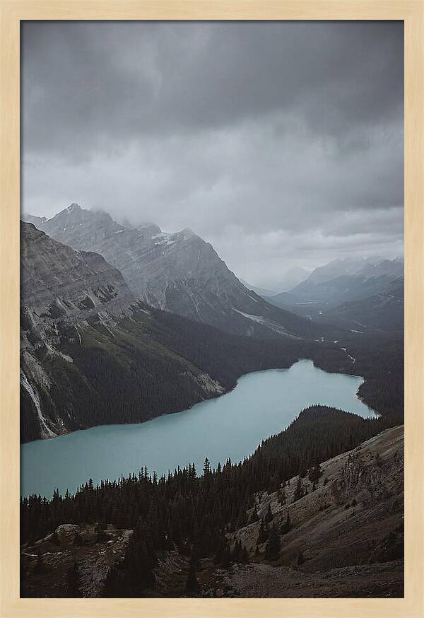 Peyto Lake Overlook Serenity