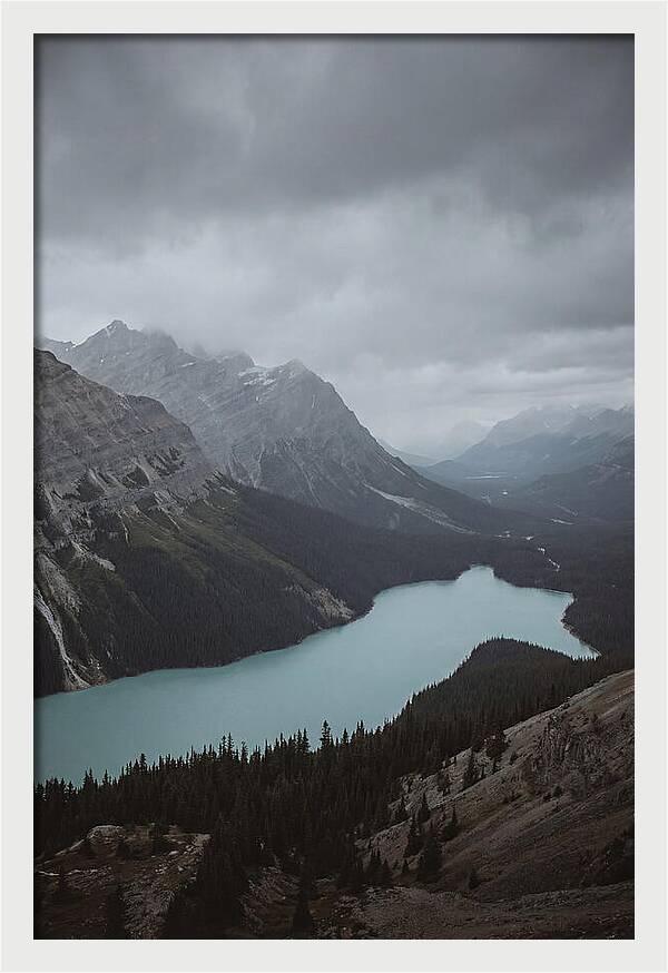 Peyto Lake Overlook Serenity