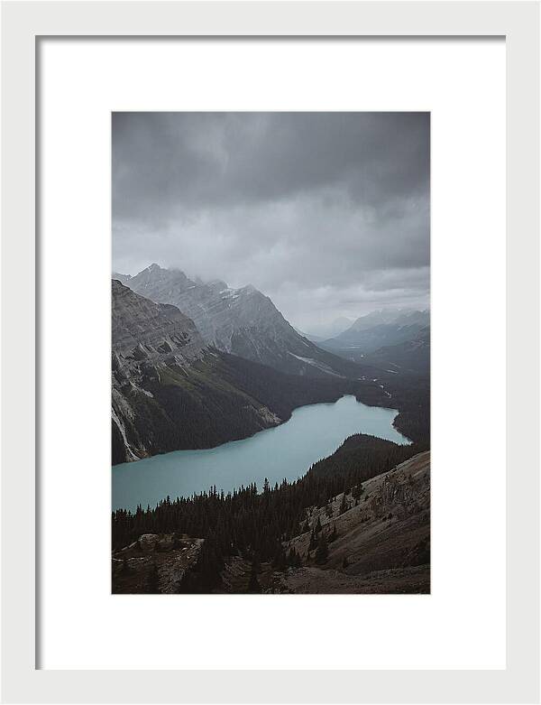 Peyto Lake Overlook Serenity