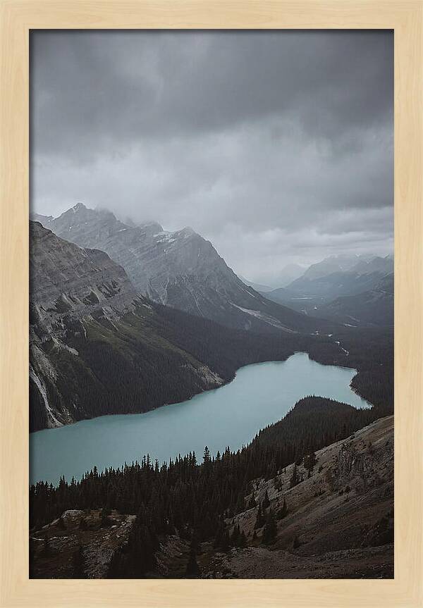 Peyto Lake Overlook Serenity