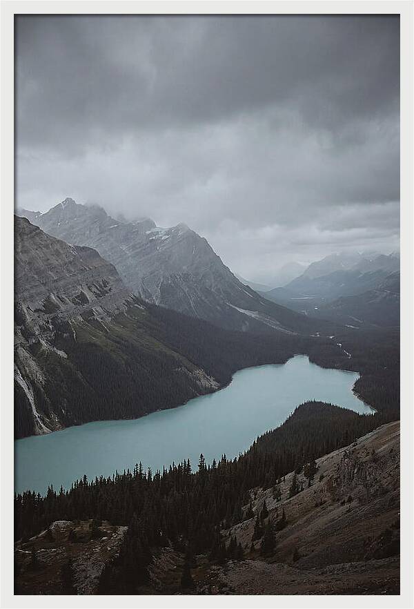 Peyto Lake Overlook Serenity