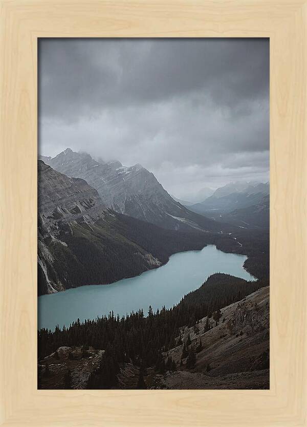 Peyto Lake Overlook Serenity