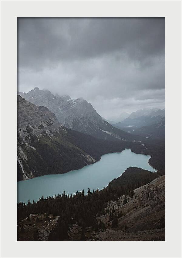 Peyto Lake Overlook Serenity