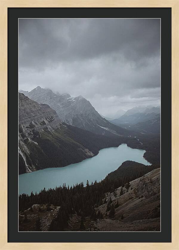 Peyto Lake Overlook Serenity