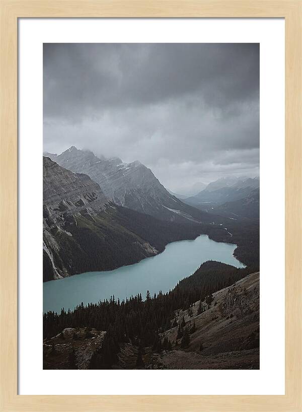 Peyto Lake Overlook Serenity