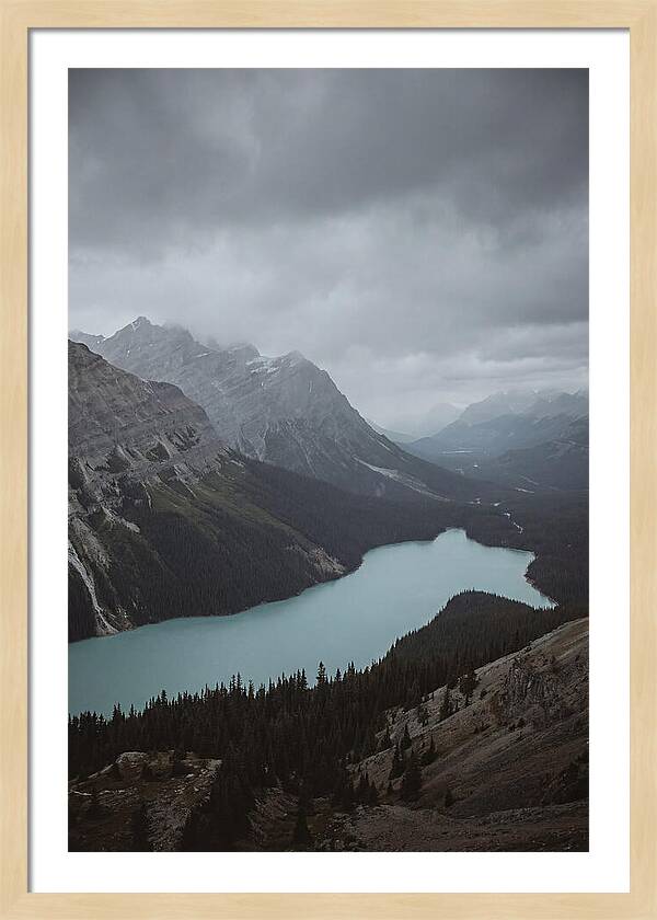 Peyto Lake Overlook Serenity