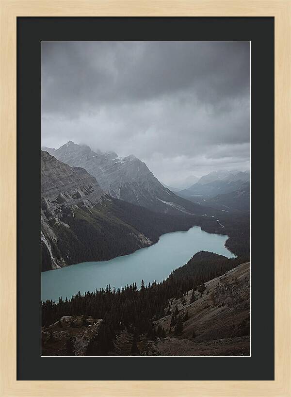 Peyto Lake Overlook Serenity