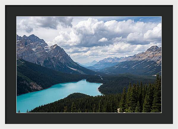 Peyto Lake Serenity