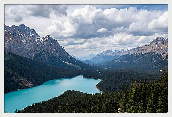 Peyto Lake Serenity