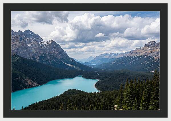 Peyto Lake Serenity