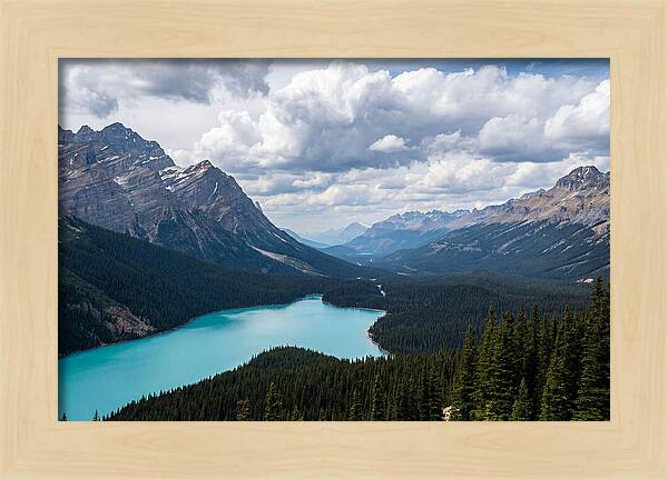 Peyto Lake Serenity